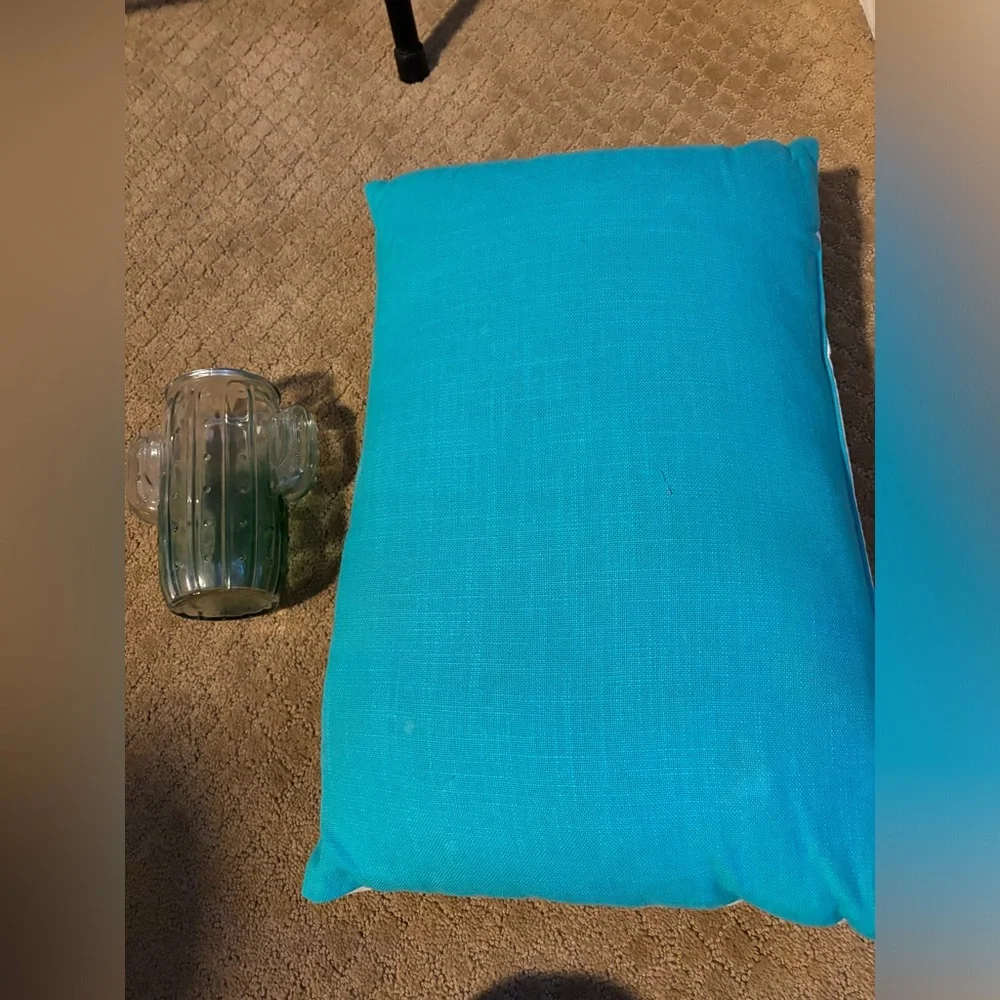 Cactus Decorative Pillow AND Cactus Jar - Picture 4 of 5